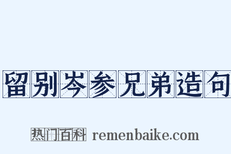 留别岑参兄弟造句是什么意思的图片